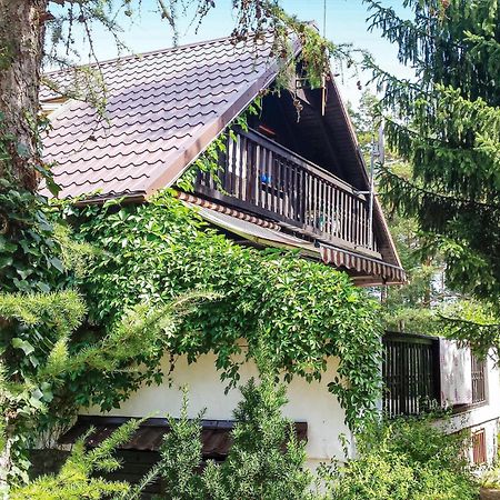 3 Bedroom Stunning Home In Dziemiany Exterior photo